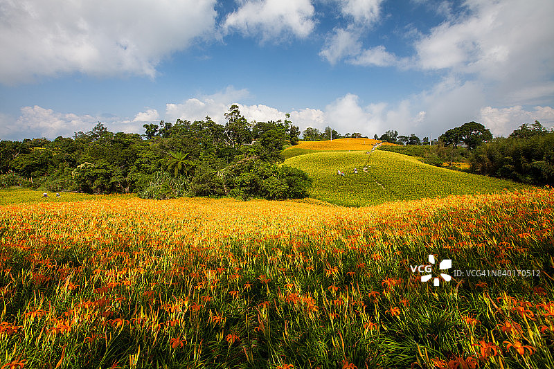 花莲玉里镇赤科山与富里镇六十石山图片素材