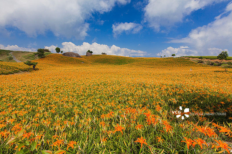 花莲玉里镇赤科山与富里镇六十石山图片素材