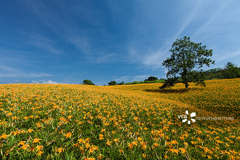 花莲玉里镇赤科山与富里镇六十石山图片素材
