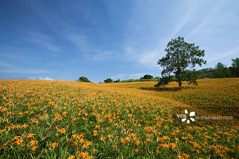 花莲玉里镇赤科山与富里镇六十石山图片素材