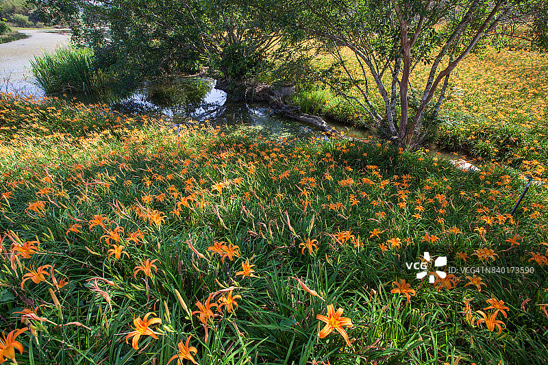 花莲玉里镇赤科山与富里镇六十石山图片素材
