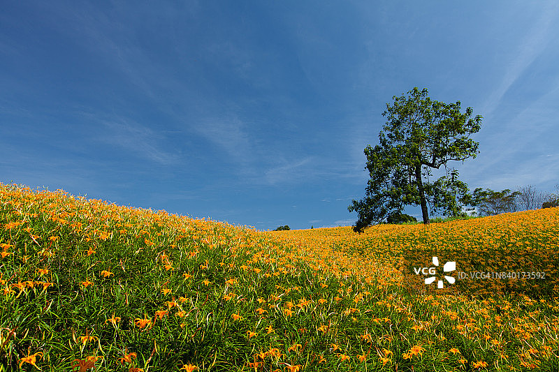 花莲玉里镇赤科山与富里镇六十石山图片素材