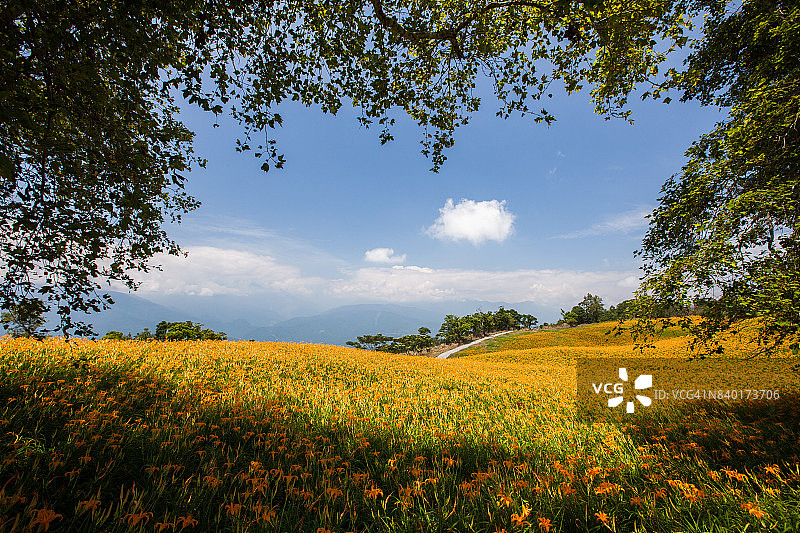 花莲玉里镇赤科山与富里镇六十石山图片素材