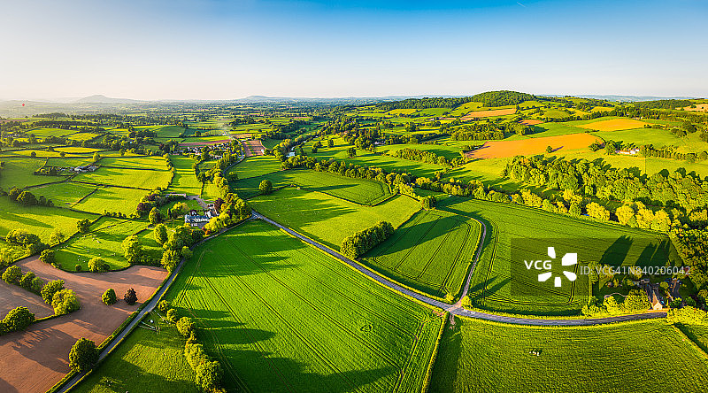 田园般的绿色夏季农田航拍全景图片素材
