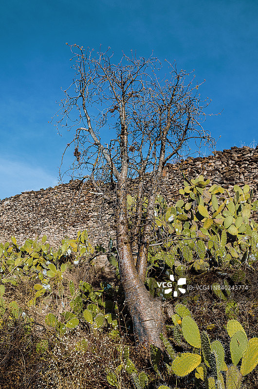 瓦里文化墙图片素材