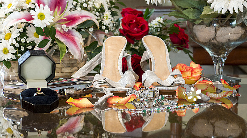 女性的挚友图片素材