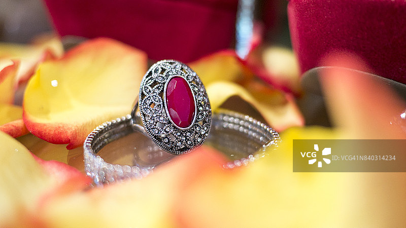 女性的挚友图片素材