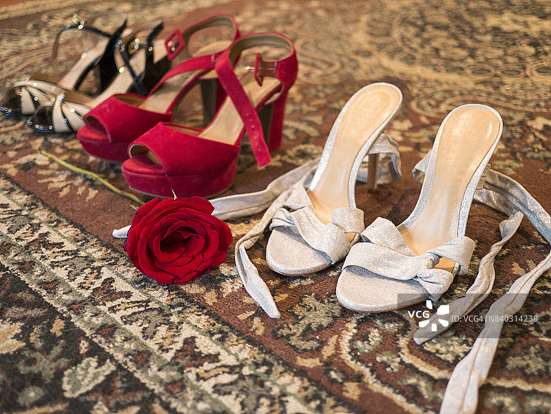 女性的挚友图片素材