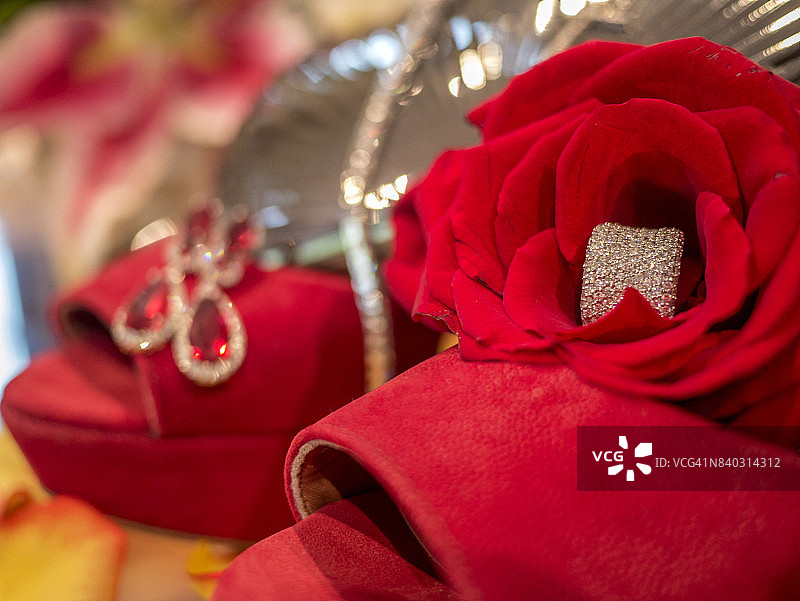 女性的挚友图片素材