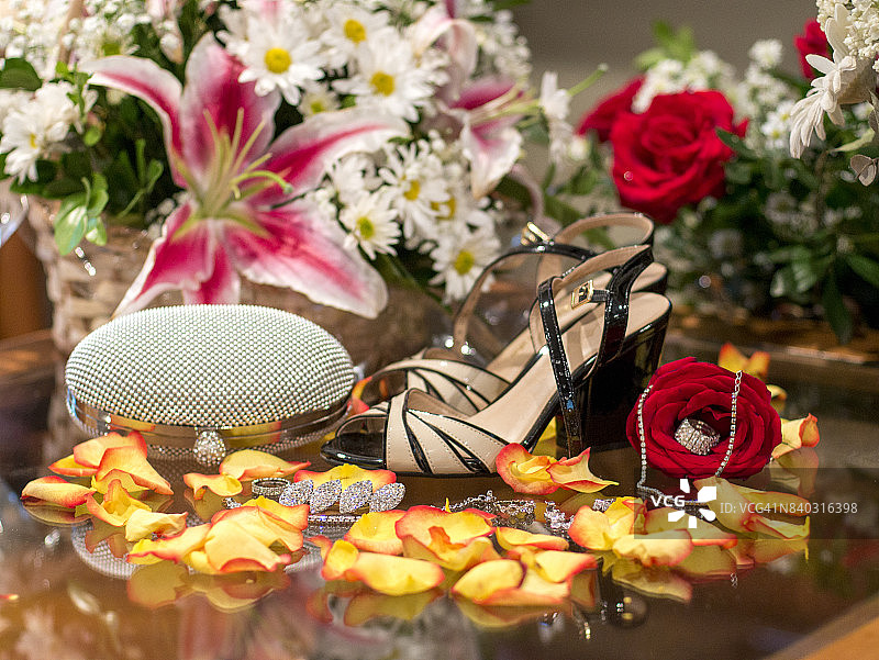 女性的挚友图片素材