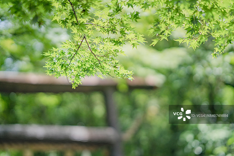 京都银阁寺禅宗寺庙花园图片素材