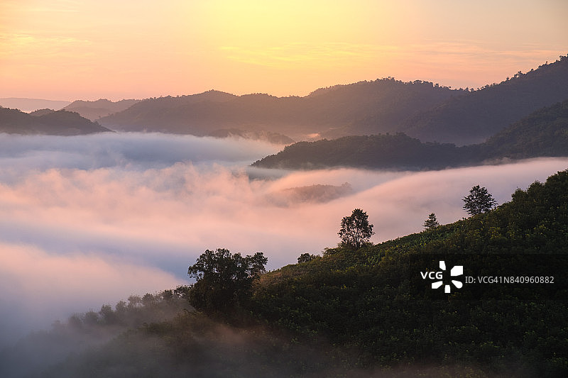湄公河畔早晨美丽的薄雾景观图片素材
