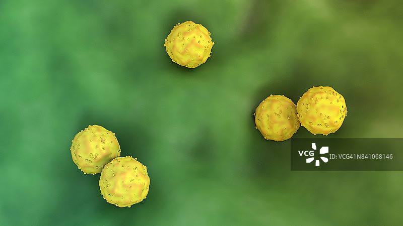 胚胎干细胞图片素材