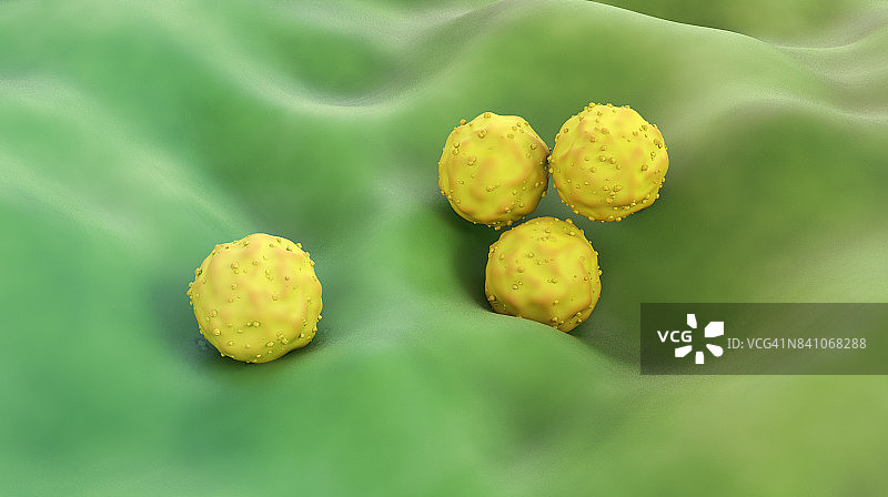 胚胎干细胞图片素材