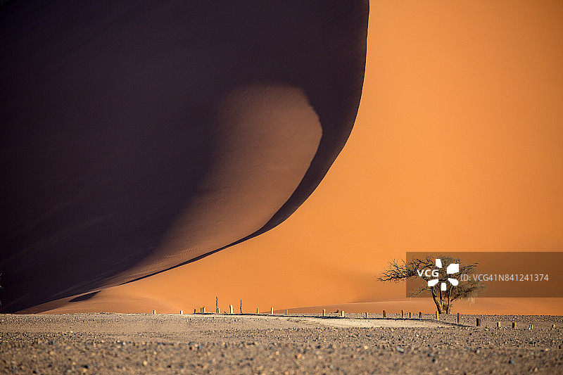 非洲纳米比亚苏丝斯黎沙丘纳米布沙漠图片素材