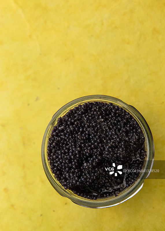 圆鳍鱼子酱图片素材