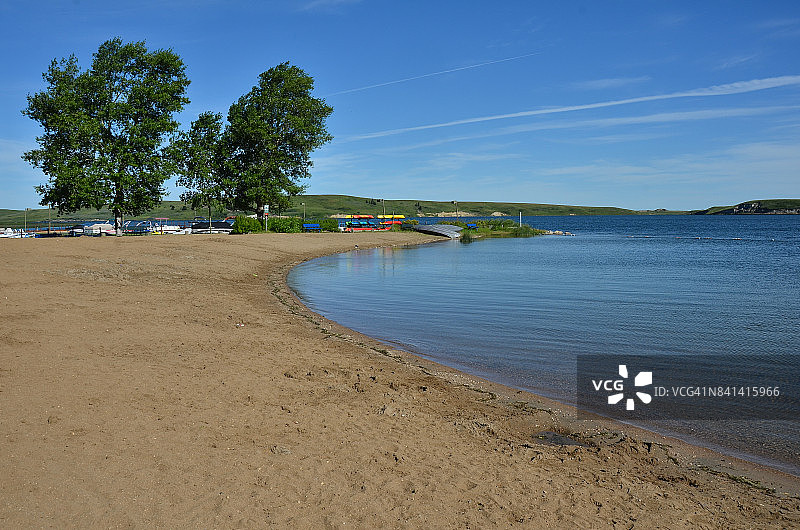 麋鹿水滩的树木图片素材