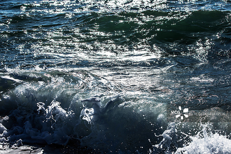 幽暗的野生水域图片素材