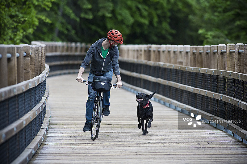 男人在森林中骑自行车，带着他的狗走在木制人行桥上图片素材