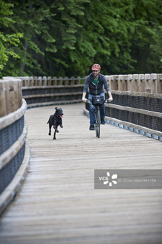 男人在森林中骑自行车，带着他的狗走在木制人行桥上图片素材