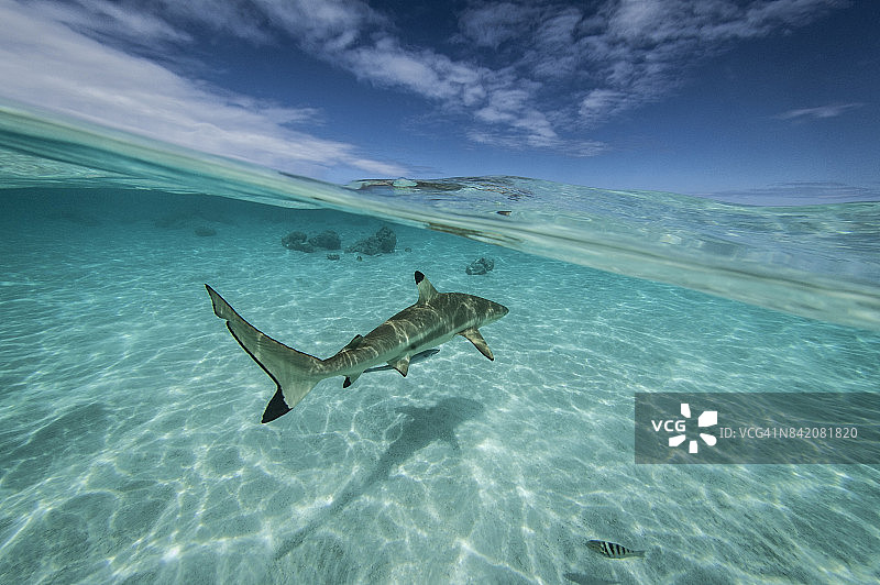 法属波利尼西亚-南太平洋图片素材