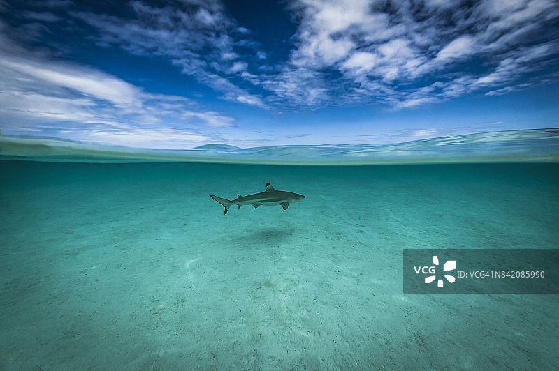 法属波利尼西亚-南太平洋图片素材