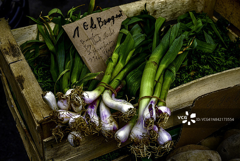 有机葱图片素材