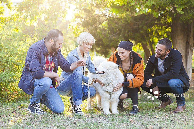 朋友们和小狗一起玩耍图片素材
