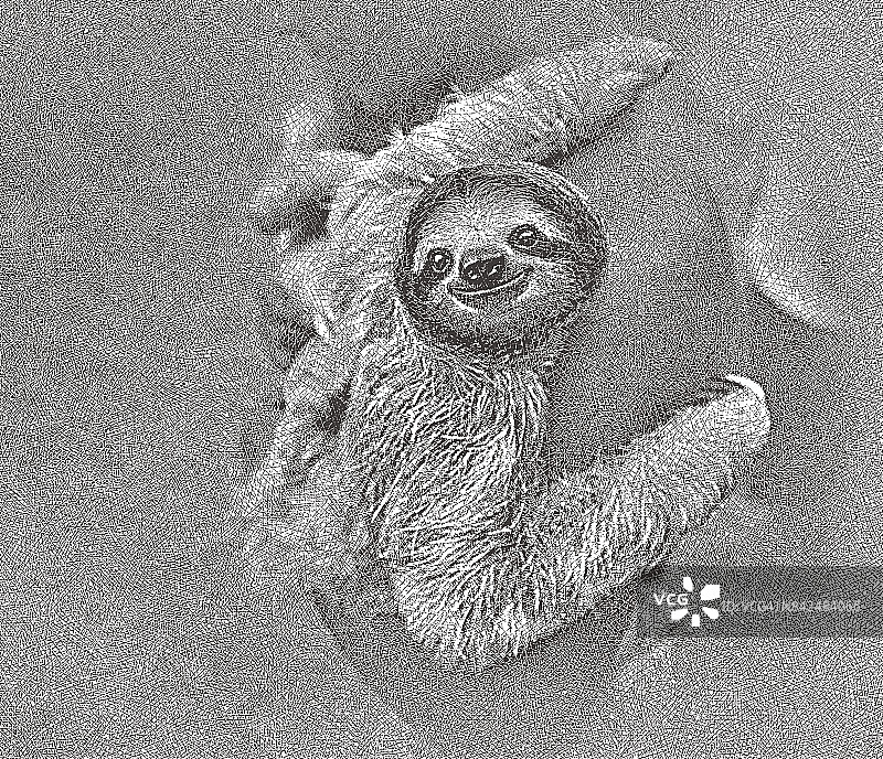 快乐的被救树懒被巴拿马男人抱着图片素材