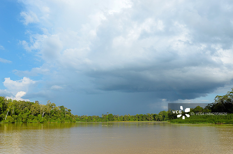 马来西亚京那巴当岸河热带雨林和婆罗洲岛丛林图片素材