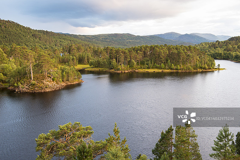 贝恩湖和喀里多尼亚森林图片素材