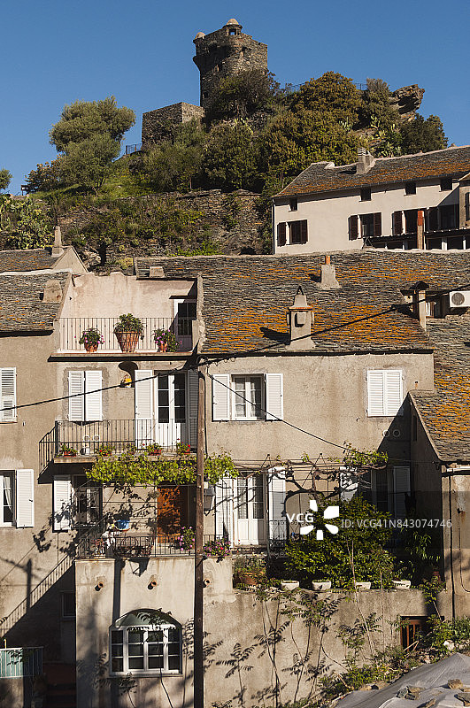 农扎镇景观与保林塔图片素材