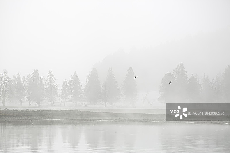 黄石河畔雾蒙蒙的早晨图片素材