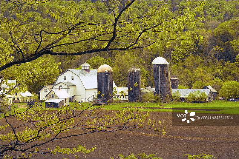 佛蒙特州 tunbridge-5图片素材