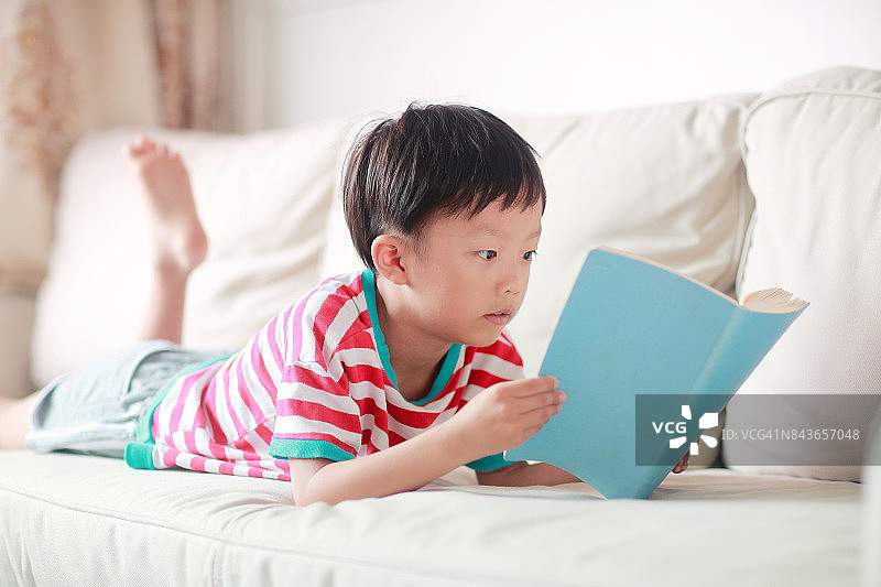 男孩在读书图片素材