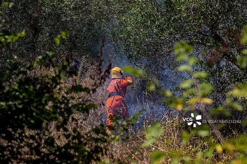 帕帕拉诺山火灾4天图片素材