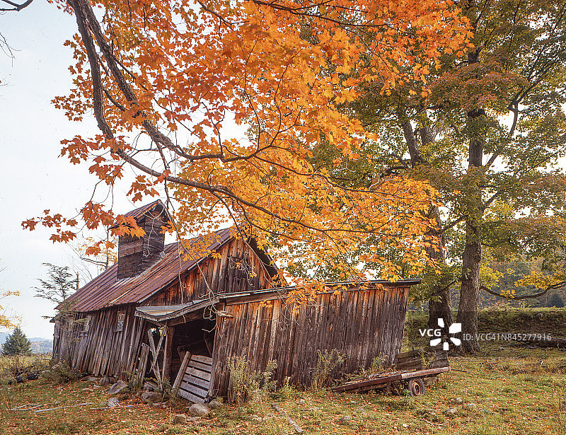 佛蒙特布拉德福德图片素材