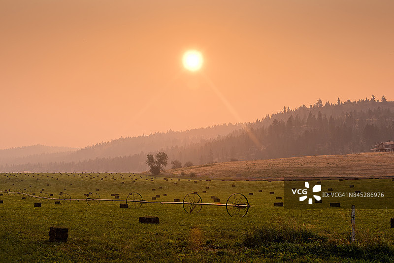 朦胧的干草图片素材