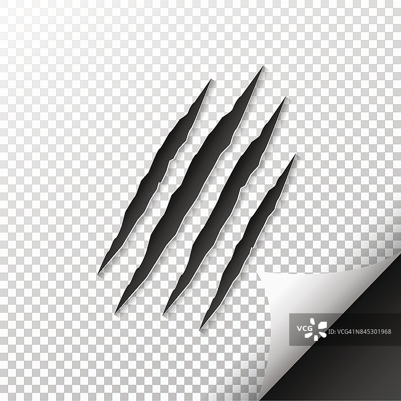 动物爪子的抓痕图片素材