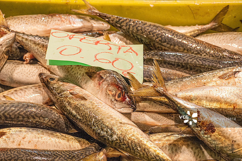 西班牙毕尔巴鄂里贝拉市场出售的新鲜沙丁鱼图片素材