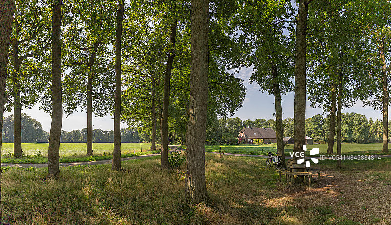 上艾瑟尔省的荷兰乡村风光图片素材