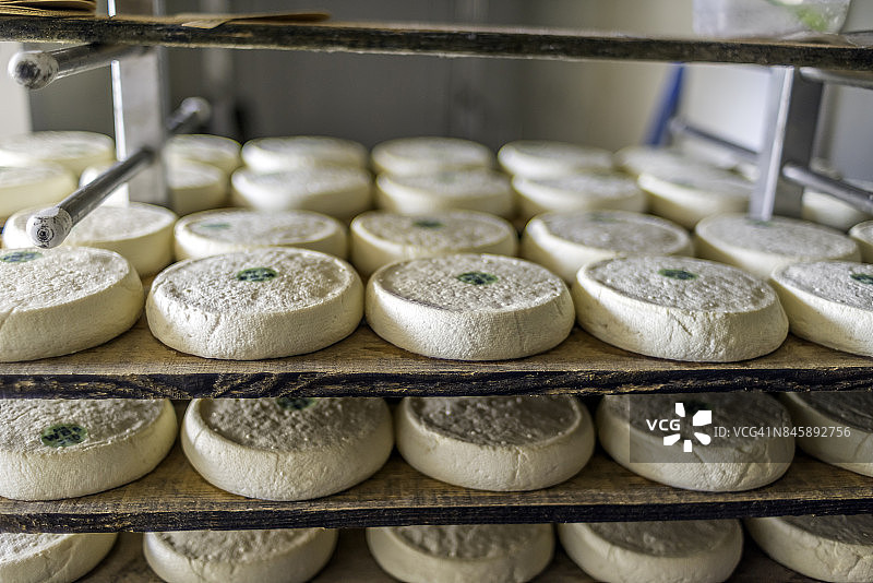 法国上萨瓦省Le Grand-Bornand村的手工生牛奶瑞布罗申奶酪图片素材