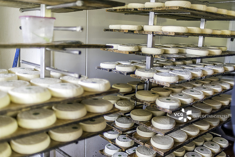 法国上萨瓦省Le Grand-Bornand村的手工生牛奶瑞布罗申奶酪图片素材