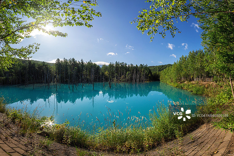 北海道美瑛町的蓝塘图片素材