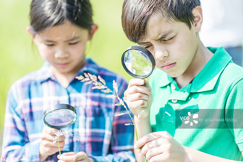 学习科学知识图片素材