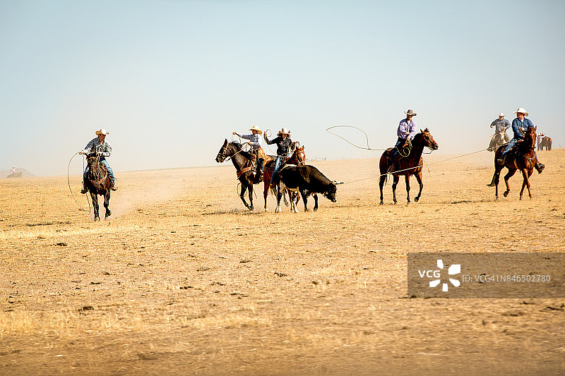 牛仔套牛图片素材