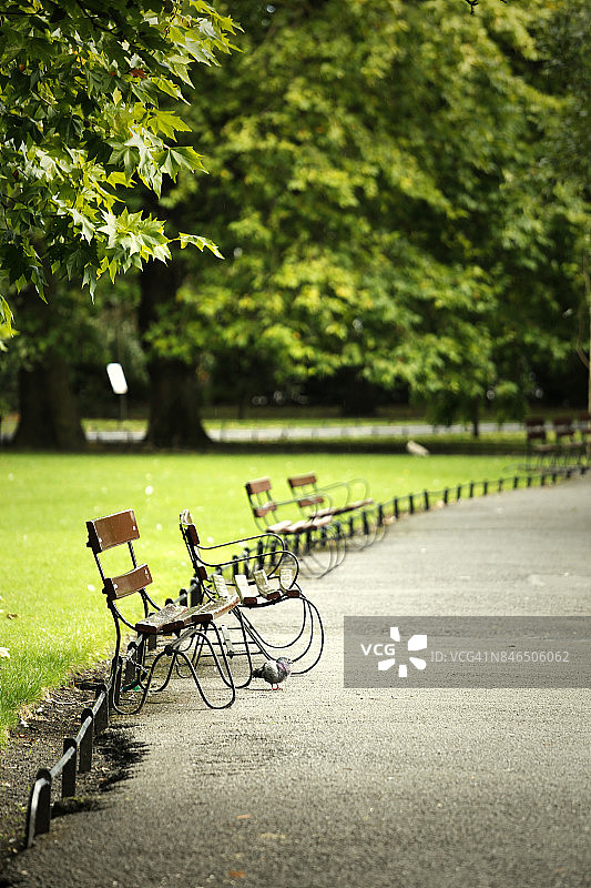 秋天的圣斯蒂芬绿地图片素材