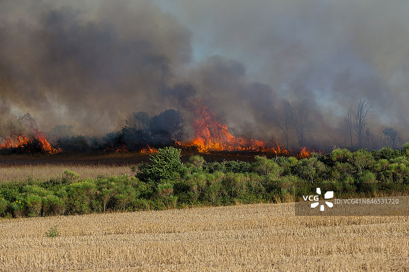 布拉恰诺湖周围的火灾图片素材