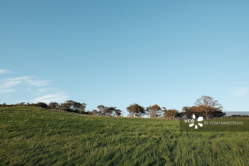平昌三养牧场图片素材