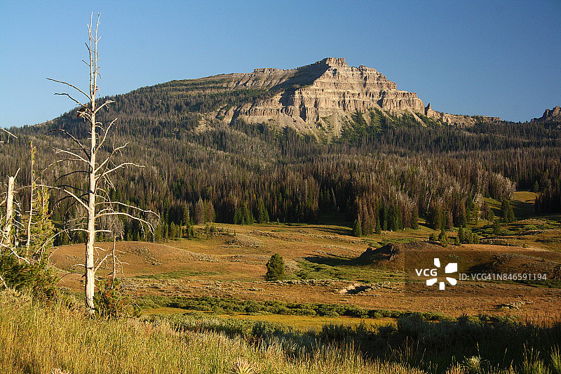 灰熊的栖息地图片素材